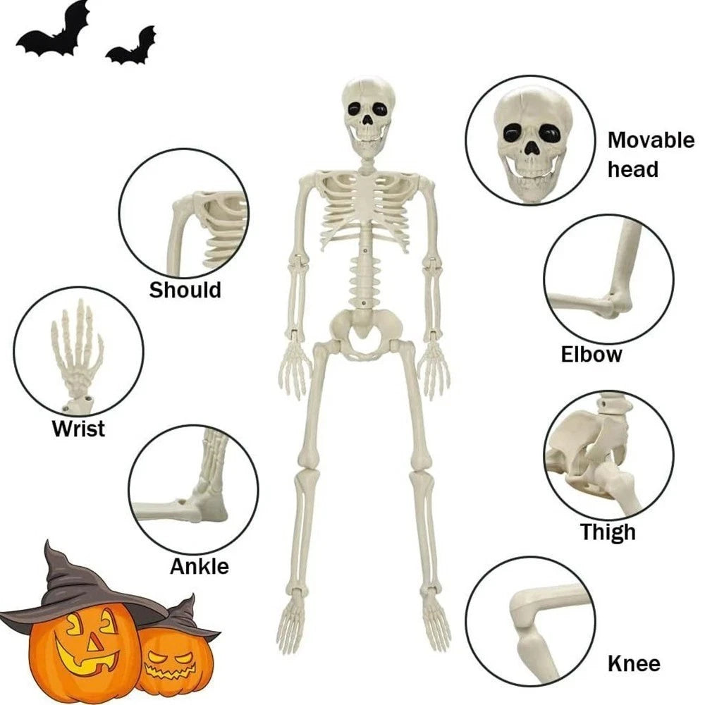Halloween Skeleton Decoration Posable Human Bone Horror Party Prop